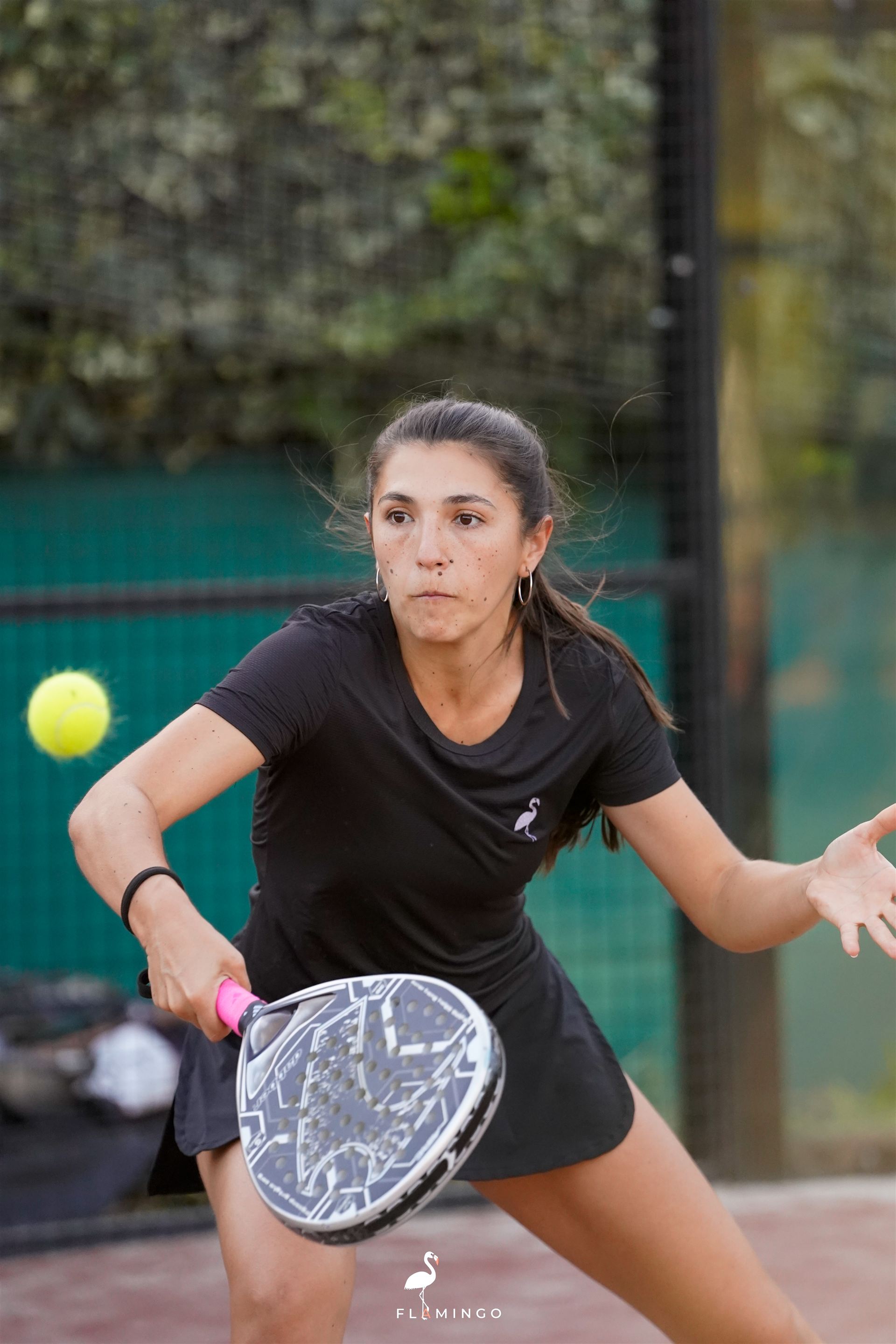 Torneo Flamingo Sports 2024 — pádel Chile