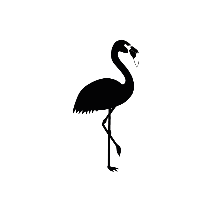 Logo Flamingo Sports — calcetines tenis y pádel Chile